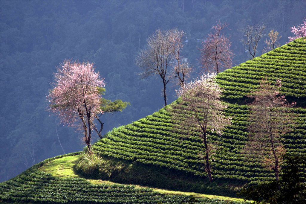 Sikkim trip