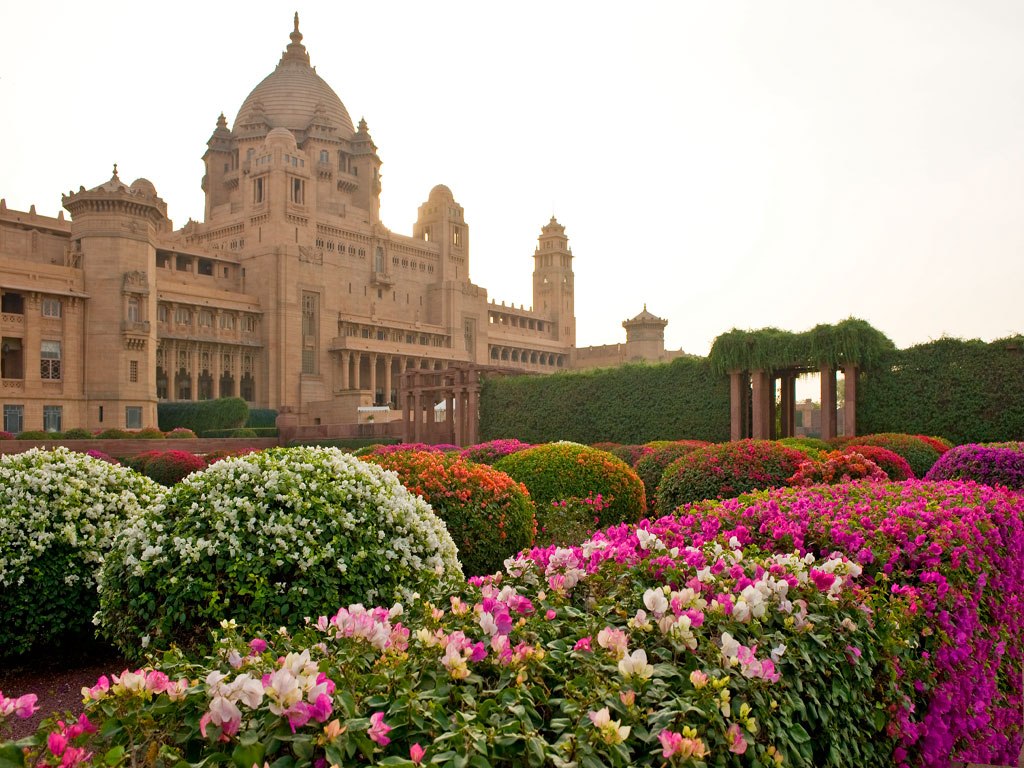 Pride of Rajasthan