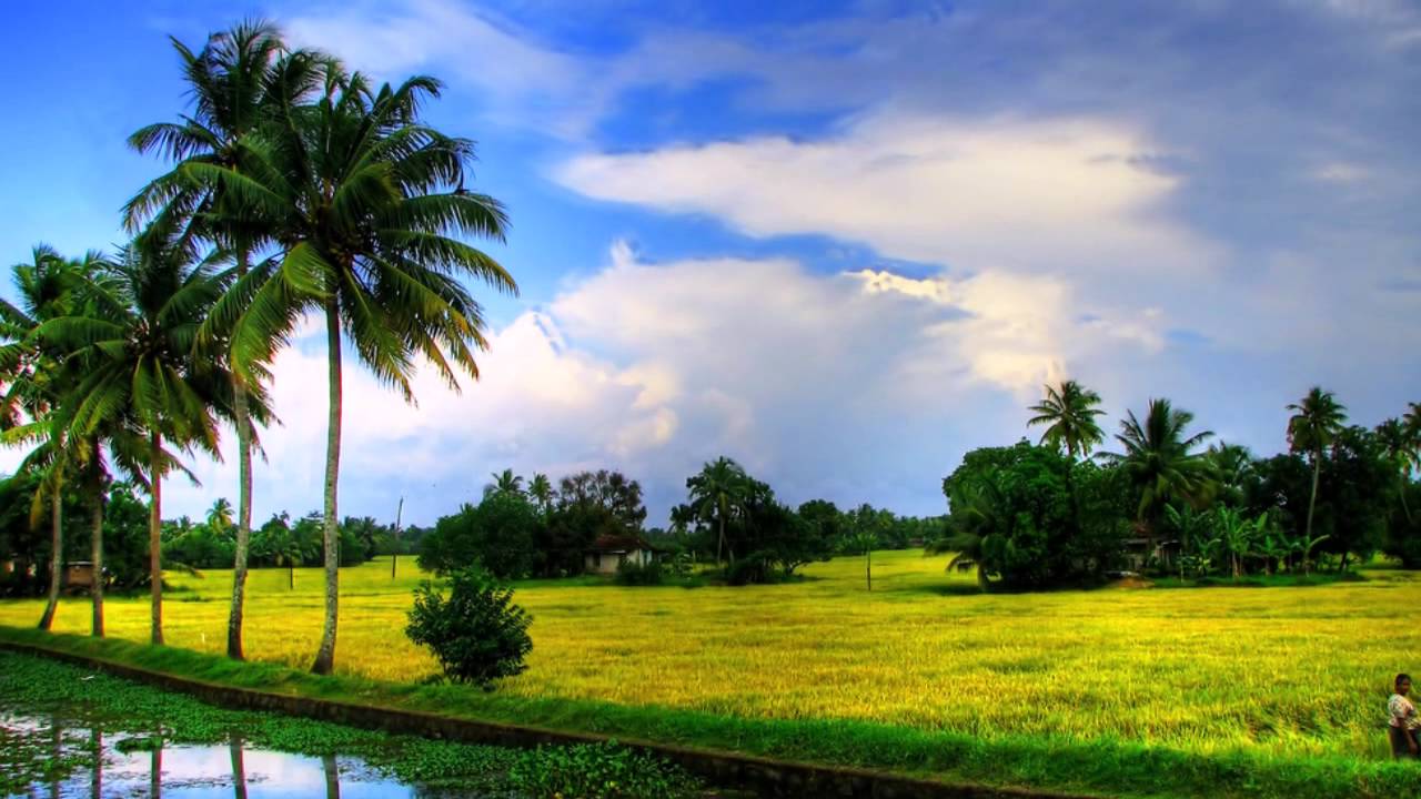 Backwater Delight