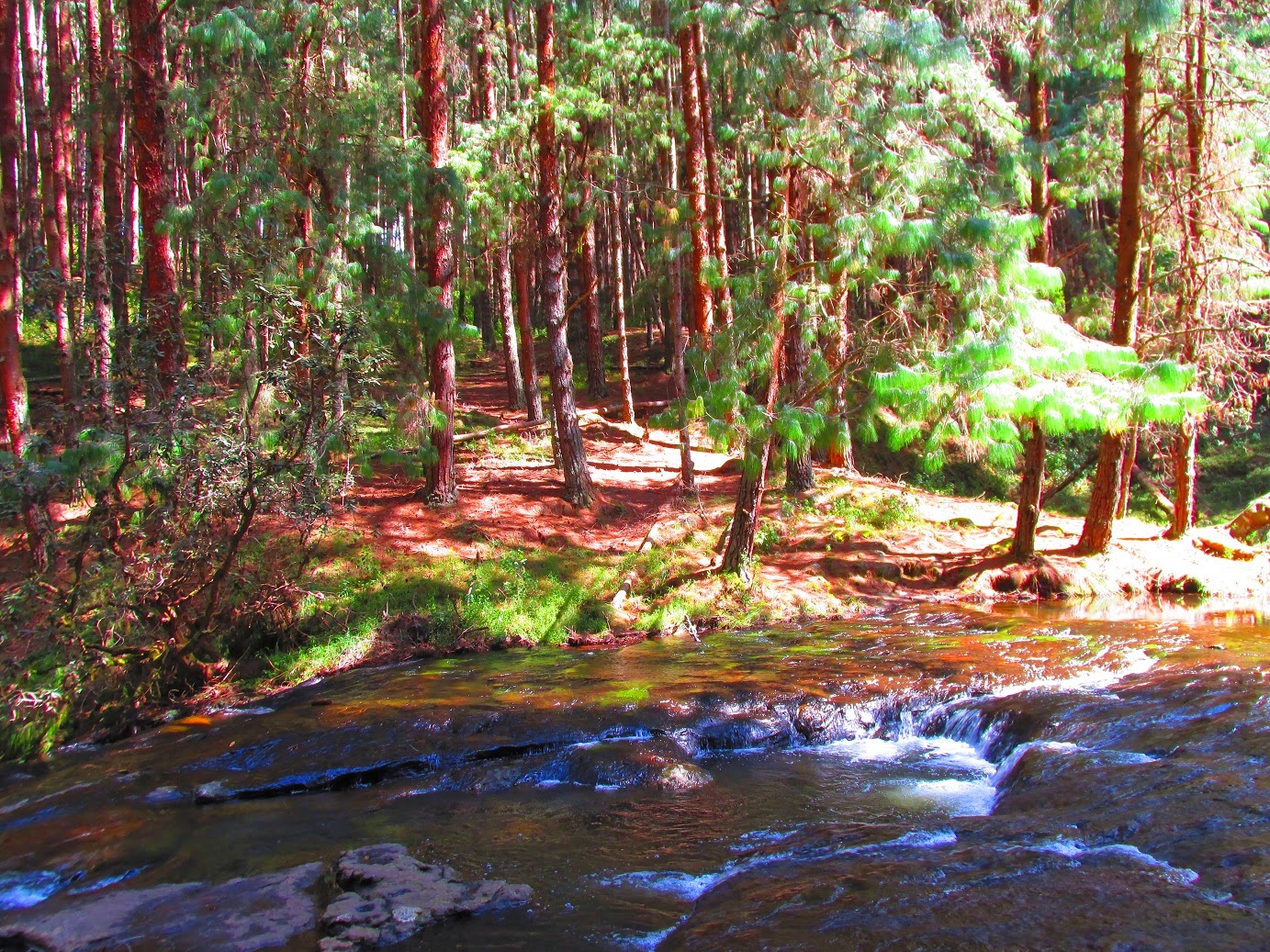 Kodaikanal Getaway