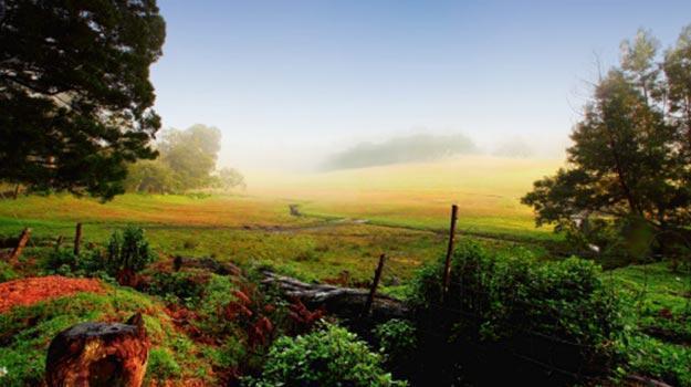 Fascinating Ooty 
