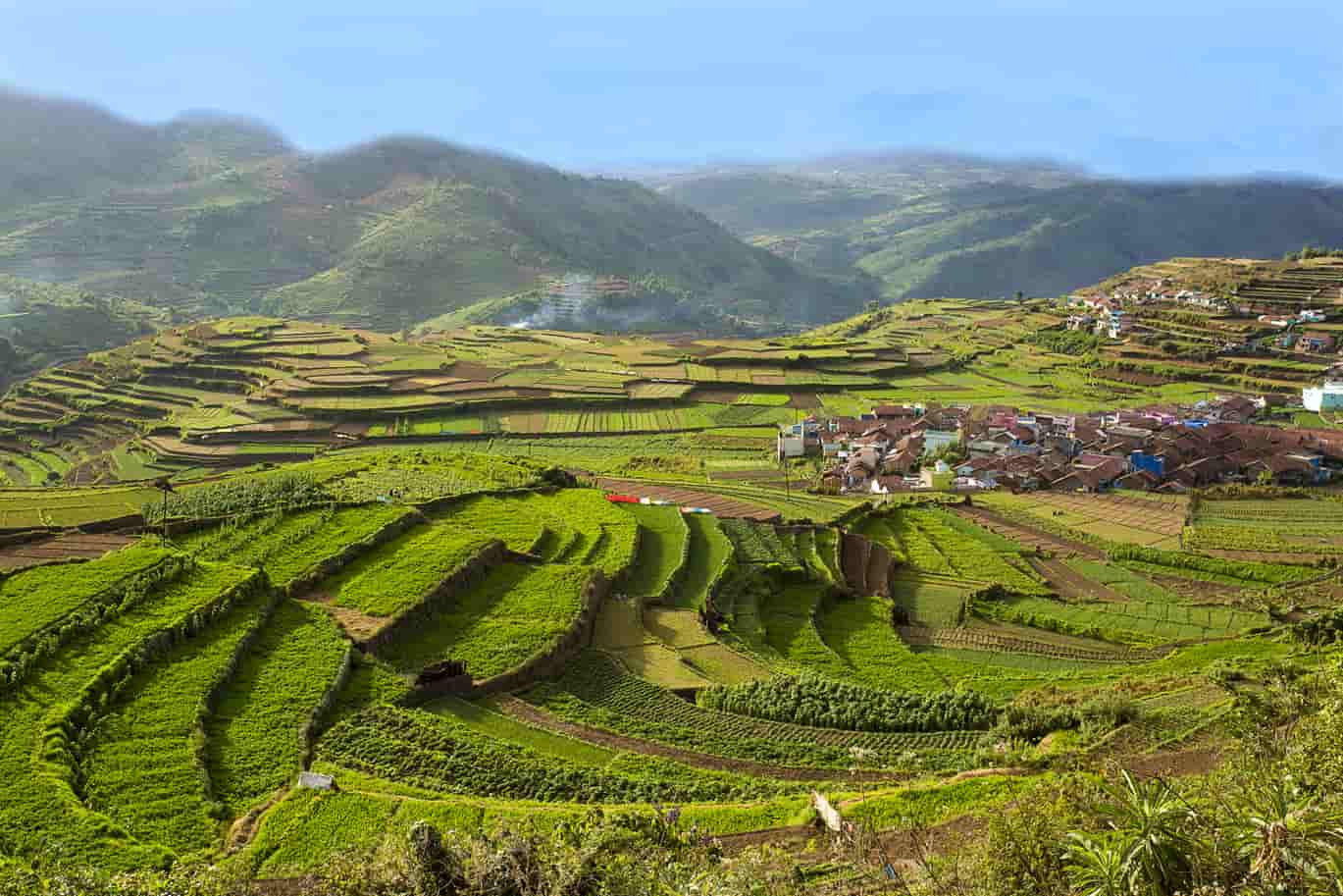 Dazzling South India Tour