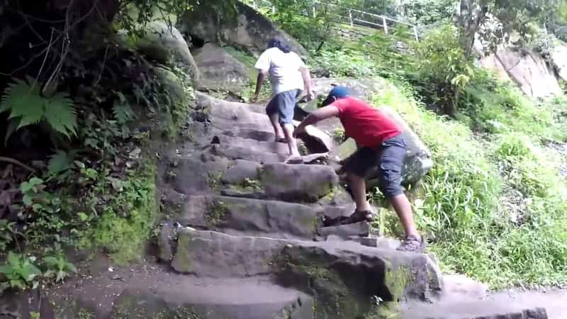 Wayanad Shortscape