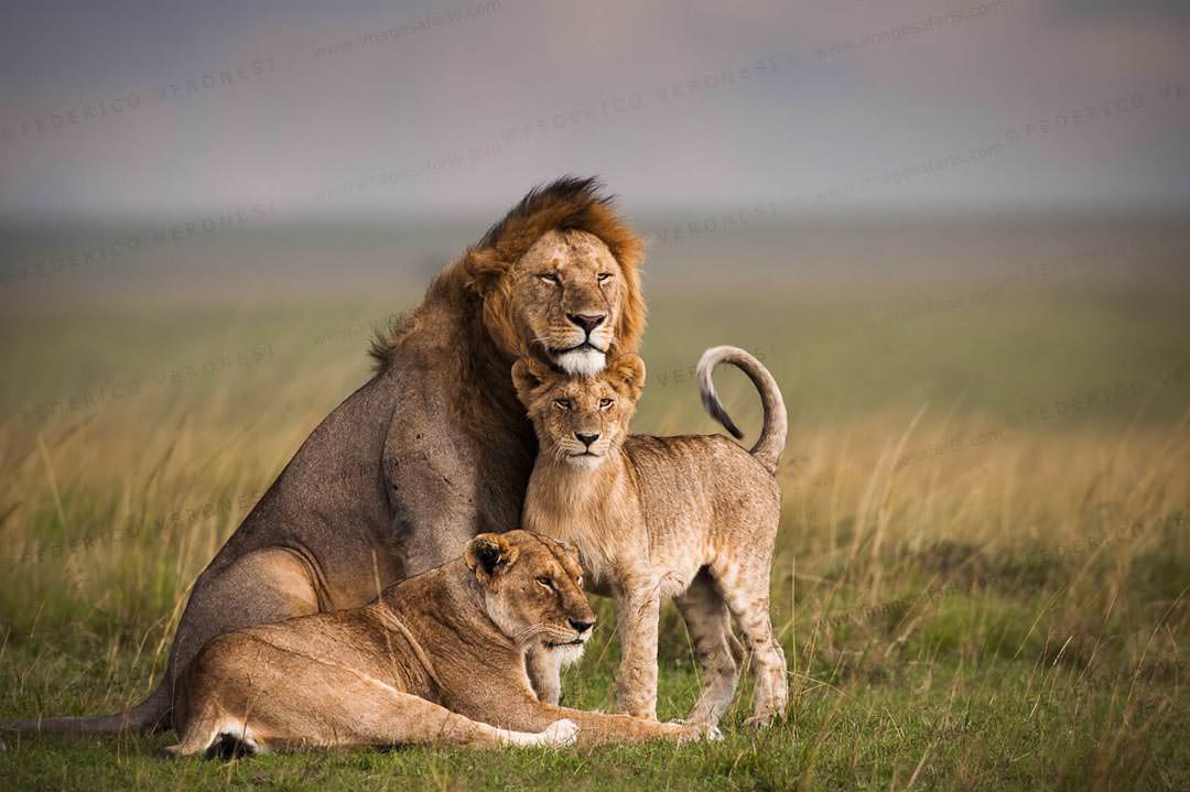 MAGICAL KENYA 