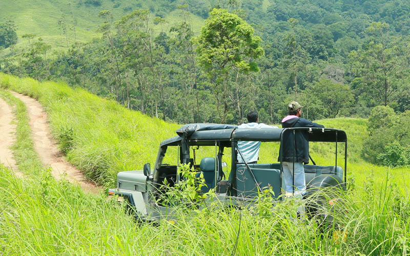Thekkady Escape