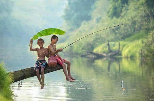 Backwater Delight